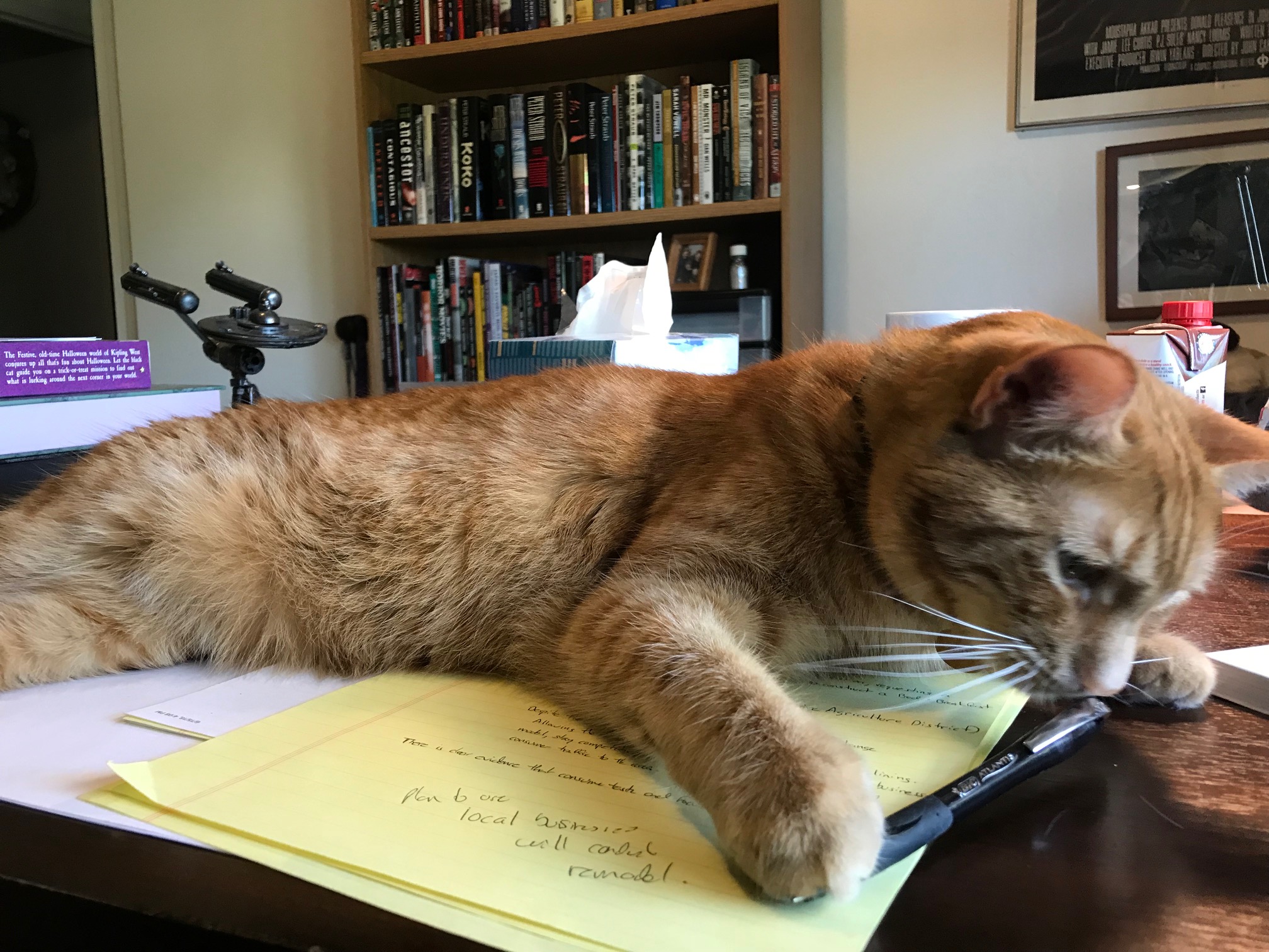 Cats Sleep on SFF Writing Excuse File 770