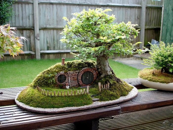 Bag end bonsai 001-lord-of-the-rings-landscape