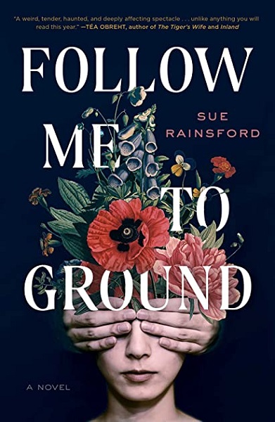 Follow Me to Ground by Sue Rainsford, art by Jaya Miceli