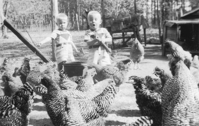 Young Greg (left) and Jim (right) Benford war with the descendants of dinosaurs, er, chickens.