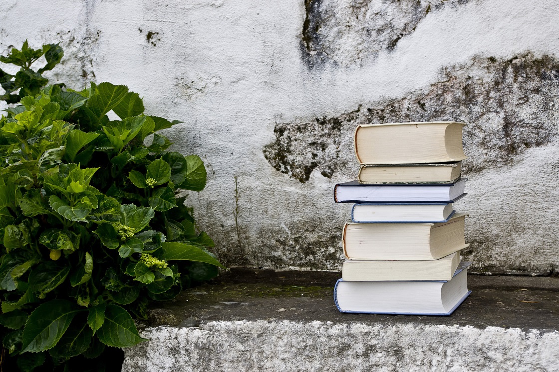 stack of books ©canstockphoto / pjgon71