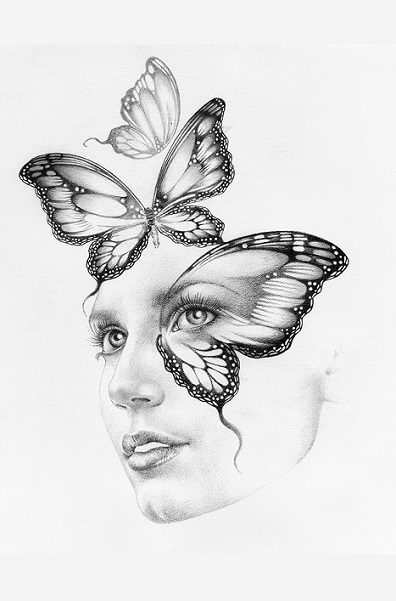 Orfeia Butterflies by Bonnie Helen Hawkins