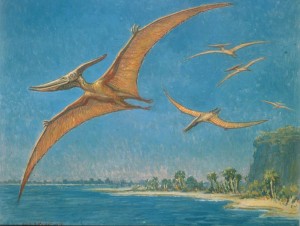 Pteranodonte_di_Charles_Knight
