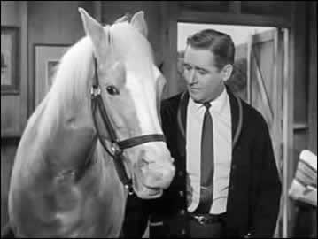 Mister Ed and Alan Young.